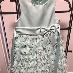 Beautifully and Immaculately Kept Dresses